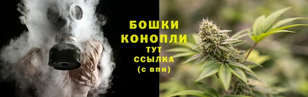 тгк Володарск