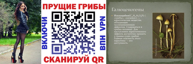 Галлюциногенные грибы ЛСД  Снежинск 
