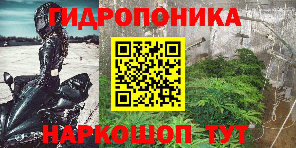 Бошки Шишки конопля  Конопля SATIVA & INDICA  Снежинск  Конопля гибрид  МАРИХУАНА SATIVA & INDICA  Вход с VPN 